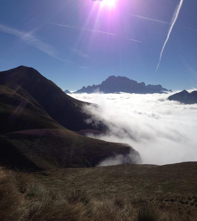 Affittacamere Rifugio Fedaia *