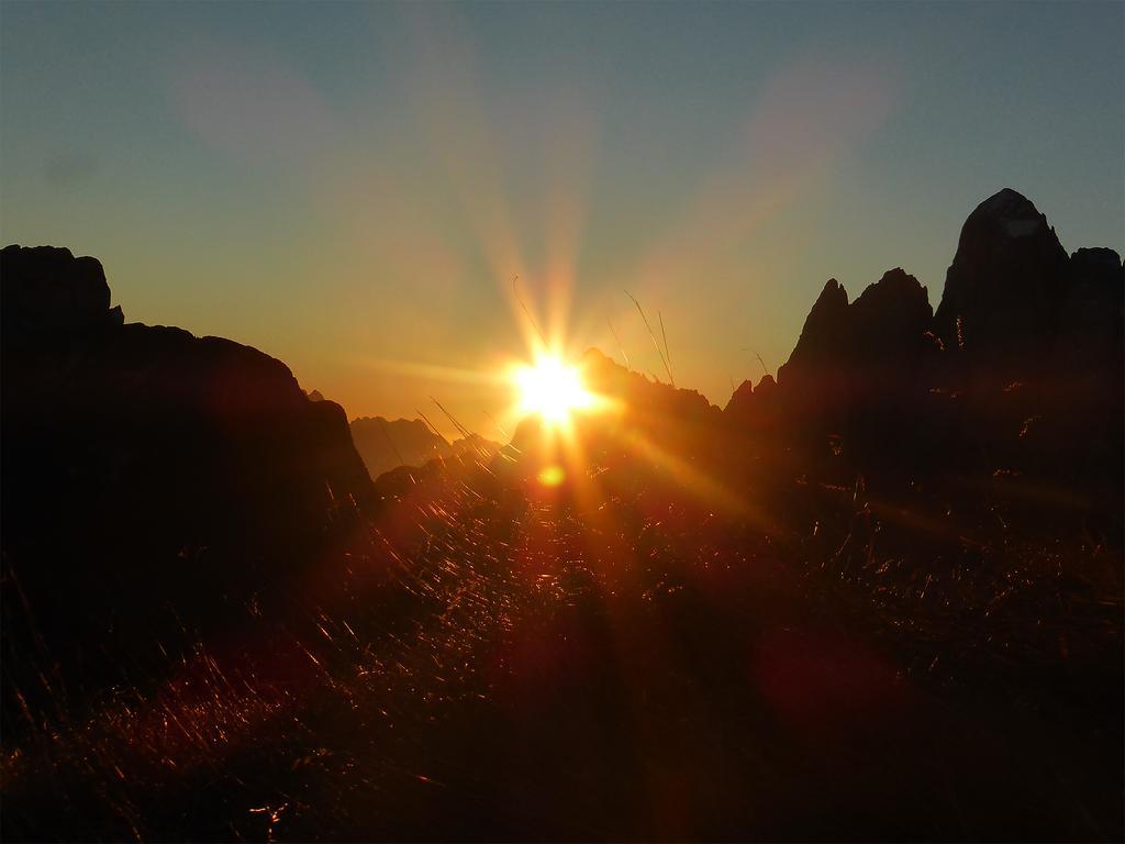 Affittacamere Rifugio Fedaia