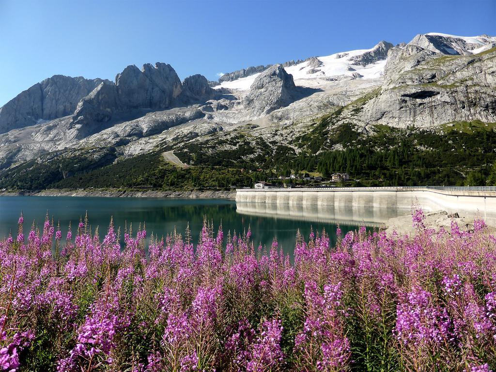 Rifugio Fedaia