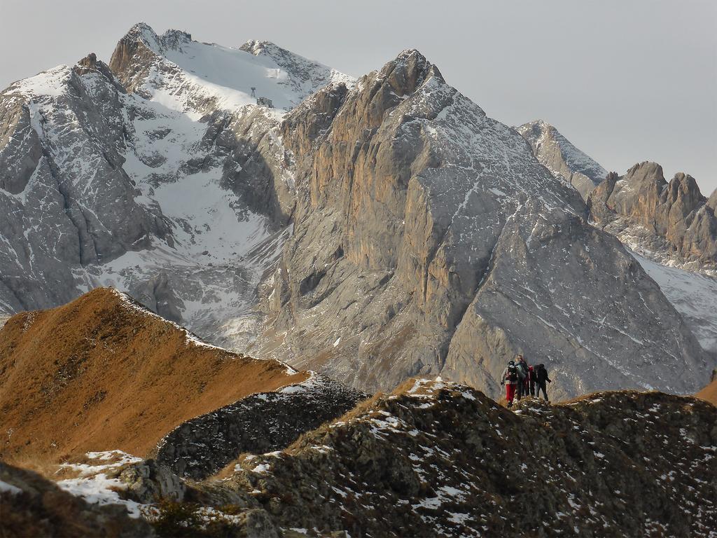 Rifugio Fedaia